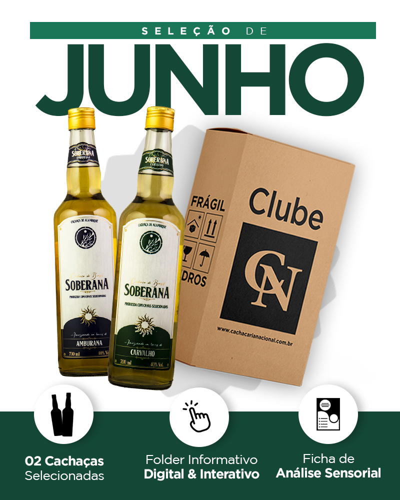 Kit detalhado - Mobile JUNHO